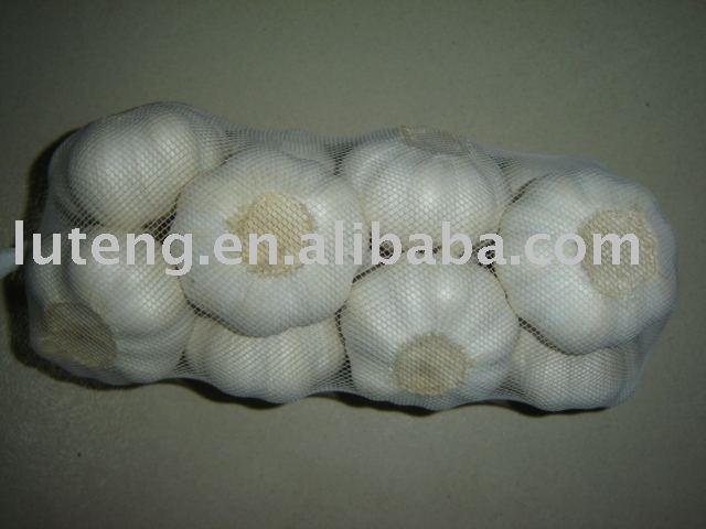 small bag garlic