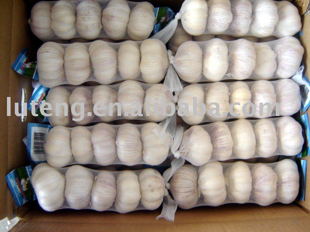 2010 s crop normal white garlic