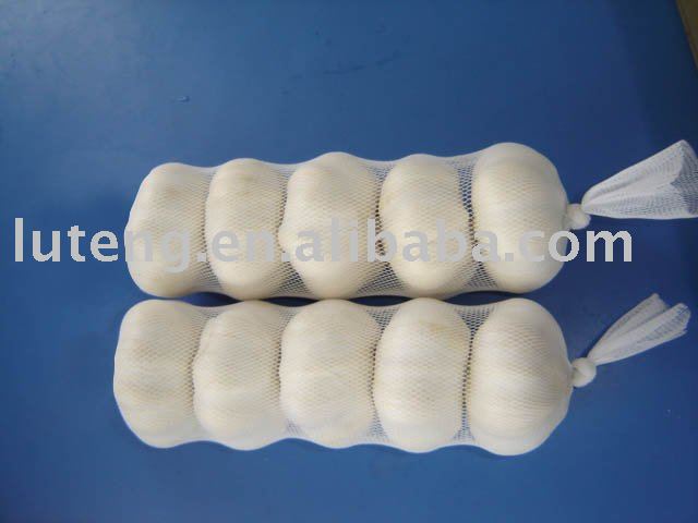 2010 s crop pure white garlic