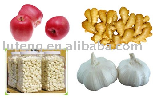  jinxiang   white   garlic 