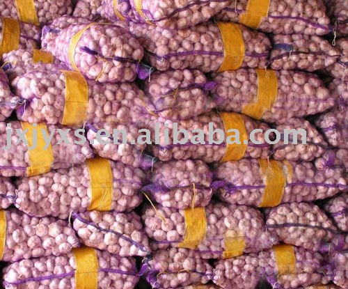 Garlic 20kg Mesh Bag Package