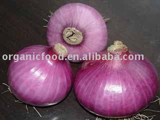 chinese fresh red onion and yellow onion