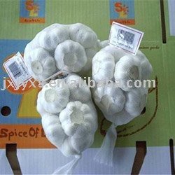 300g/net bag packing garlic