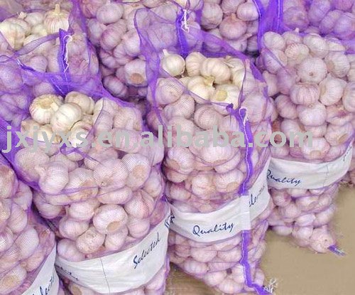Garlic With Mesh bag Package