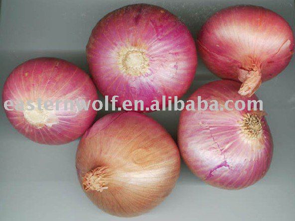 China Fresh Onion in 10KG/Mesh Bag Package