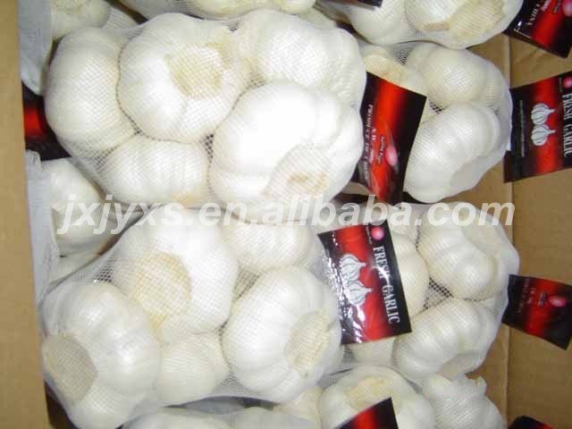 pizhou garlic