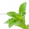 stevia,Reb-A 60%