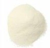  Xanthan   Gum 