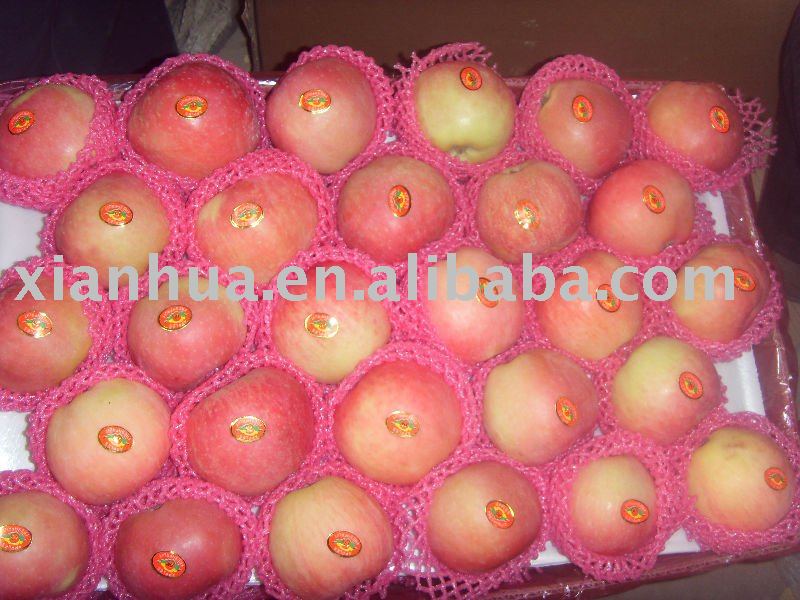 2010  New   Crop  Chinese  Red  Fresh  Red   Fuji   apple 