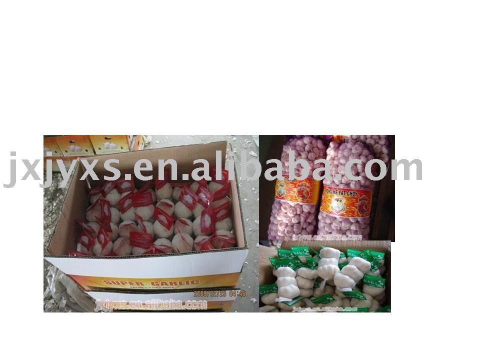 Fresh Super  China Garlic