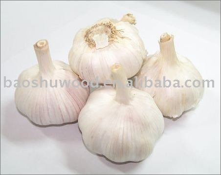 Pizhou garlic