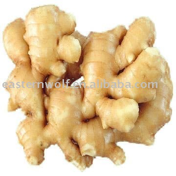 Chinese ginger in 10kg carton carton package    MOQ:1X40FCL