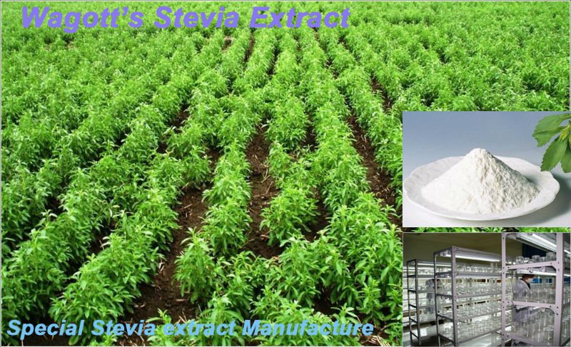 High purity Rebaudioside A
