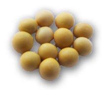  Soluble  Poybean  Polysaccharide s