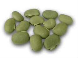  Mucuna   Extract 