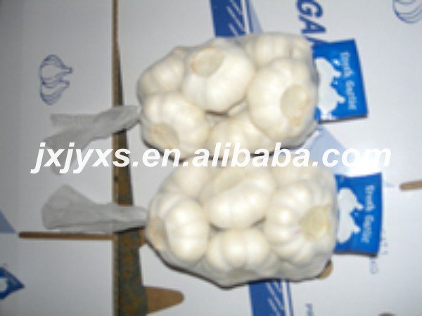 500g/net bag in carton garlic