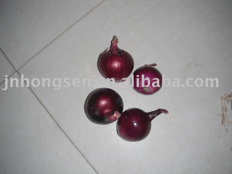 the most popular product gansu onions