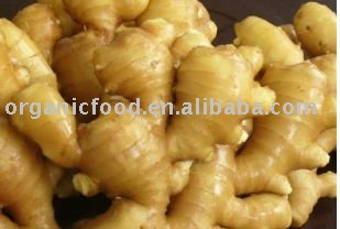 fresh chinese ginger