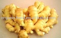 yellow fresh ginger