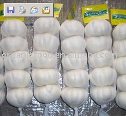 fresh jinxiang  normal / pure   white   garlic 