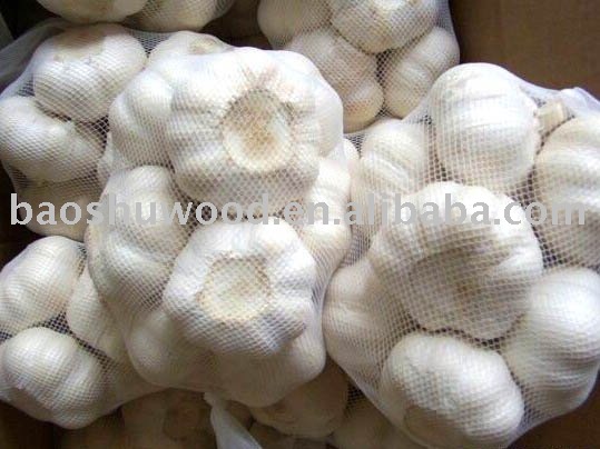  2010   fresh   garlic 