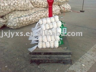  2010   pure   garlic 