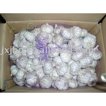 2010 chinese garlic