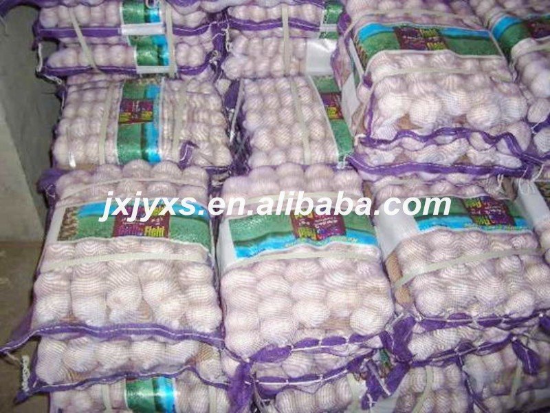 10kg/net bag packing garlic
