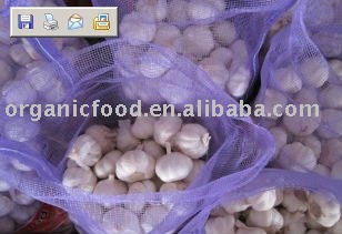 fresh 10kg mesh bag garlic