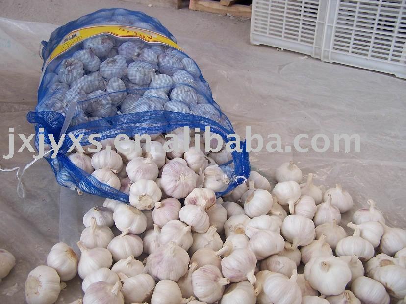  Normal   White    Garlic   From   China 