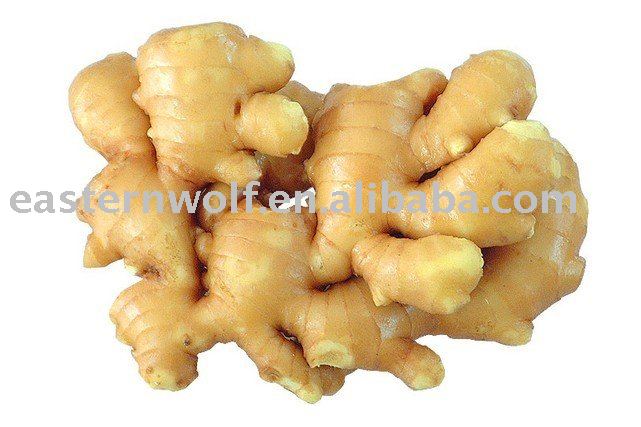 Chinese Fresh Ginger in Calcium Plastic Box Package