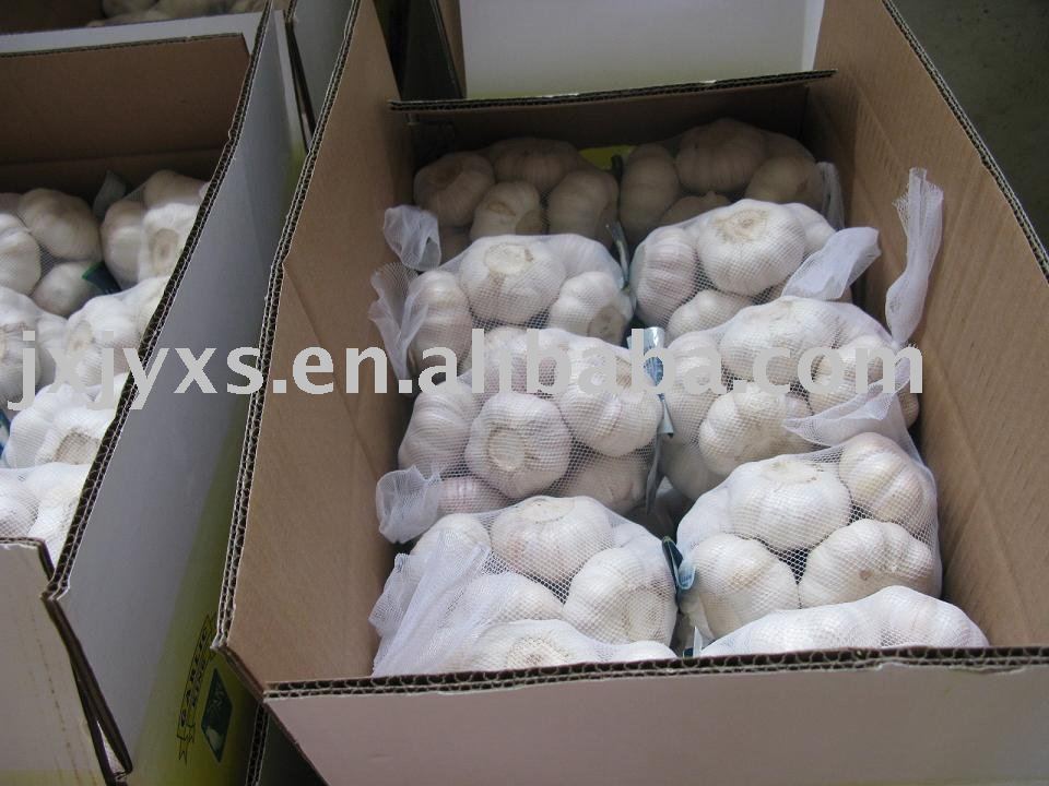 3pcs Small  packing fresh garlic