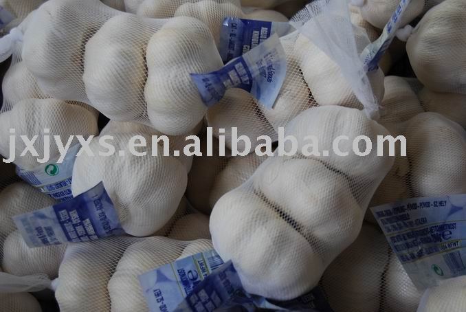  3pc s  Chinese Pure White  Garlic 