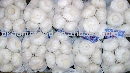 pure garlic