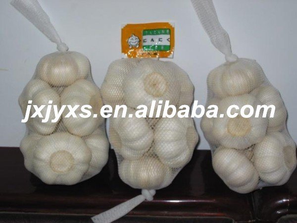 pure white garlic in 500g/net bag
