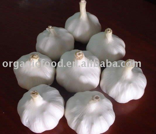 pure white garlic and normal white garlic