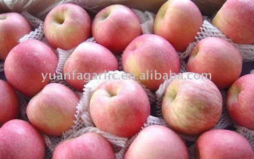 chinese fresh fuji apple in carton package