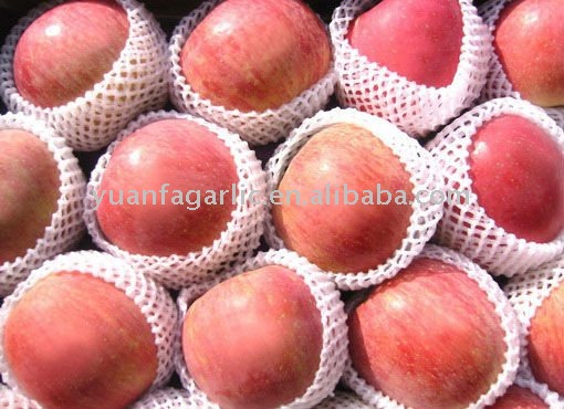 china fresh fuji apple in 18kg carton package