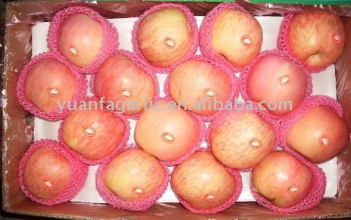 new   crop   red   fuji   apple 