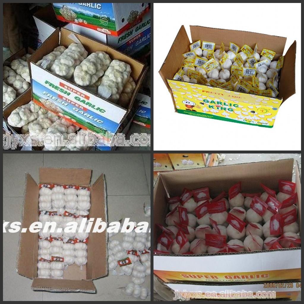 white  garlic  in  carton 
