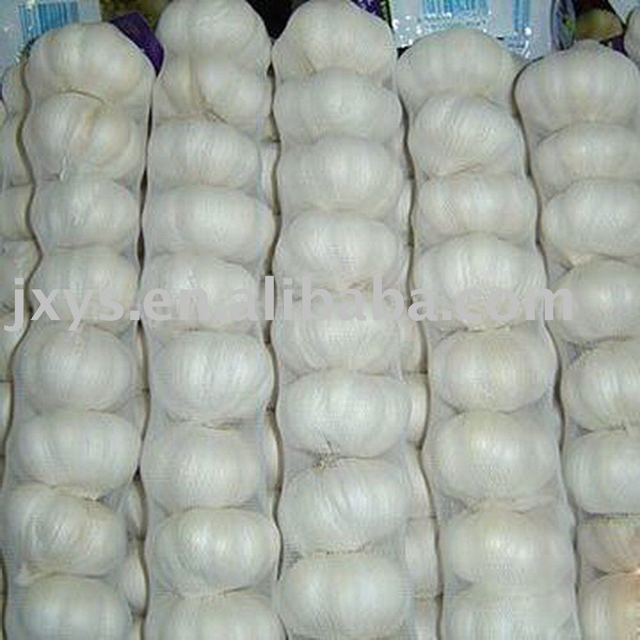 2010 fresh  white   garlic - mesh   bag   HACCP  approved