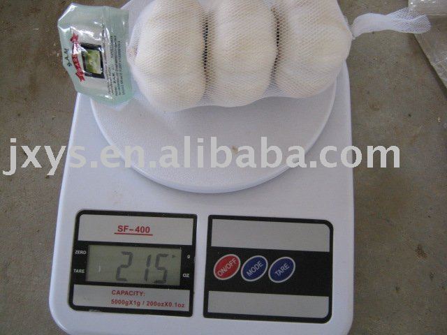 2010 fresh white garlic-small bag  HACCP  approved