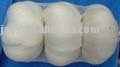 high quality white garlic