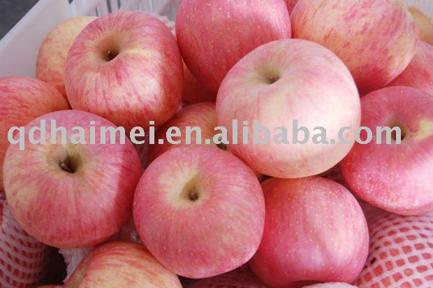 chinese fresh red gala apple