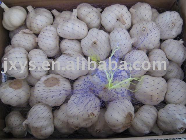 2010 fresh white garlic  mesh-bag HACCP  approved