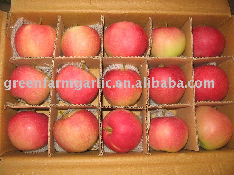 Chinesegreenfarm fresh red gala  apple