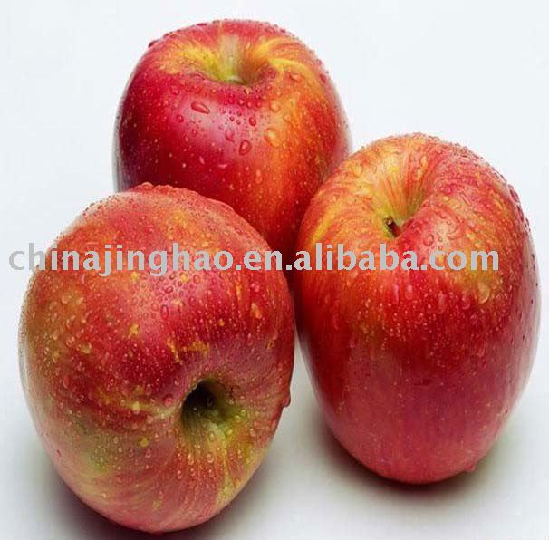 Top Grade Yantai Fresh Red Fuji Apple