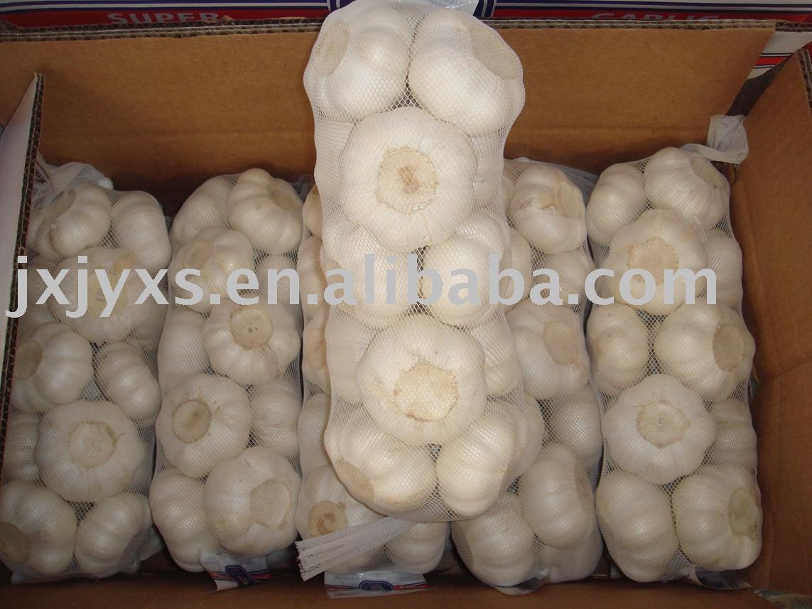 2010 new  fresh pure garlic