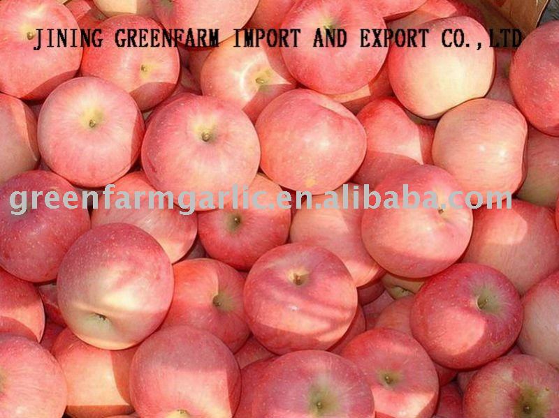 A  grade greenfarm fresh red gala apple