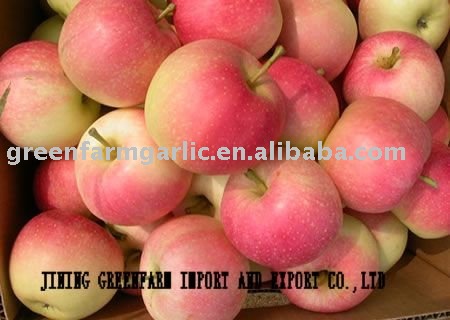 chinese fresh red gala apple